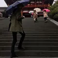 鶴岡八幡宮の写真_217271