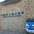 沖縄美ら海水族館の写真_217674