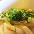 ふくすけの写真_217868