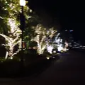 アニヴェルセルカフェ みなとみらい横浜の写真_217937