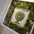 ホリスティックマーケットキッチン⁺naturi 発酵素の店の写真_218110