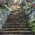 妙本寺の写真_218128
