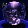 新江ノ島水族館の写真_218134