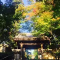 円覚寺の写真_218819