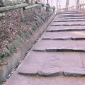 井の頭恩賜公園の写真_218913