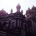 コロンボの写真_219102