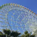 ナガシマスパーランドの写真_219207