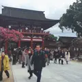 太宰府天満宮の写真_219639