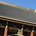 池上本門寺の写真_219835