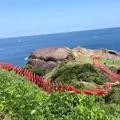 元乃隅神社の写真_220967