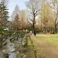 都立東綾瀬公園の写真_221104