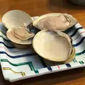 日の出の写真_221171