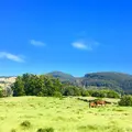 Waipio Valleyの写真_221267