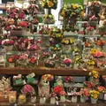 サンクチュアリの写真_221353