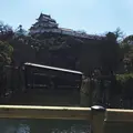 和歌山城の写真_221370