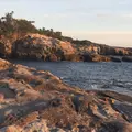 千畳敷の写真_221372