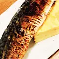 ろばた焼磯貝丸の内店の写真_221477