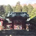 箱根神社の写真_221694
