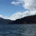 箱根観光船（株） 海賊船元箱根営業所の写真_221702