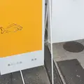 黄魚の写真_222383