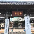 祐天寺の写真_222448