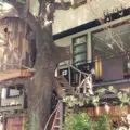 レ・グラン・ザルブルの写真_222594