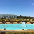 はままつフラワーパークの写真_222627