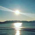 由比ガ浜海水浴場の写真_222635