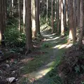 曼荼羅のみち 〔熊野古道〕の写真_223137