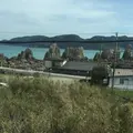 橋杭岩の写真_223143