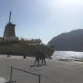 底土港の写真_223173