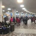 竹芝桟橋の写真_223174