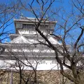 小倉城の写真_223715