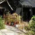 GARDEN HOUSE Kamakura（ガーデンハウス）の写真_224027