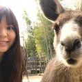 ＳａｙｕｒｉＷｏｒｌｄの写真_224178