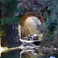 濃溝の滝の写真_224642