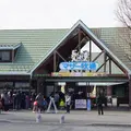 マザー牧場の写真_224643