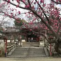 氷室神社の写真_224968