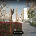 練馬区立練馬東中学校の写真_225173
