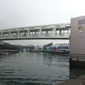 ミキモト真珠島の写真_225287