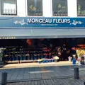 MONCEAU FLEURSの写真_225332