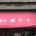 梅むらの写真_225773