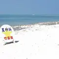 カイジ浜の写真_226303