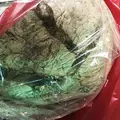 ラトリエ・デュ・パンの写真_226534