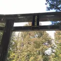 日光東照宮の写真_226564