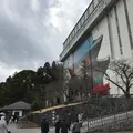 日光山　輪王寺の写真_226570