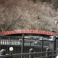 神橋の写真_226571