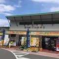 道の駅佐賀関の写真_226652