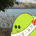 天保山公園の写真_226723