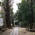 代々木八幡宮の写真_226772